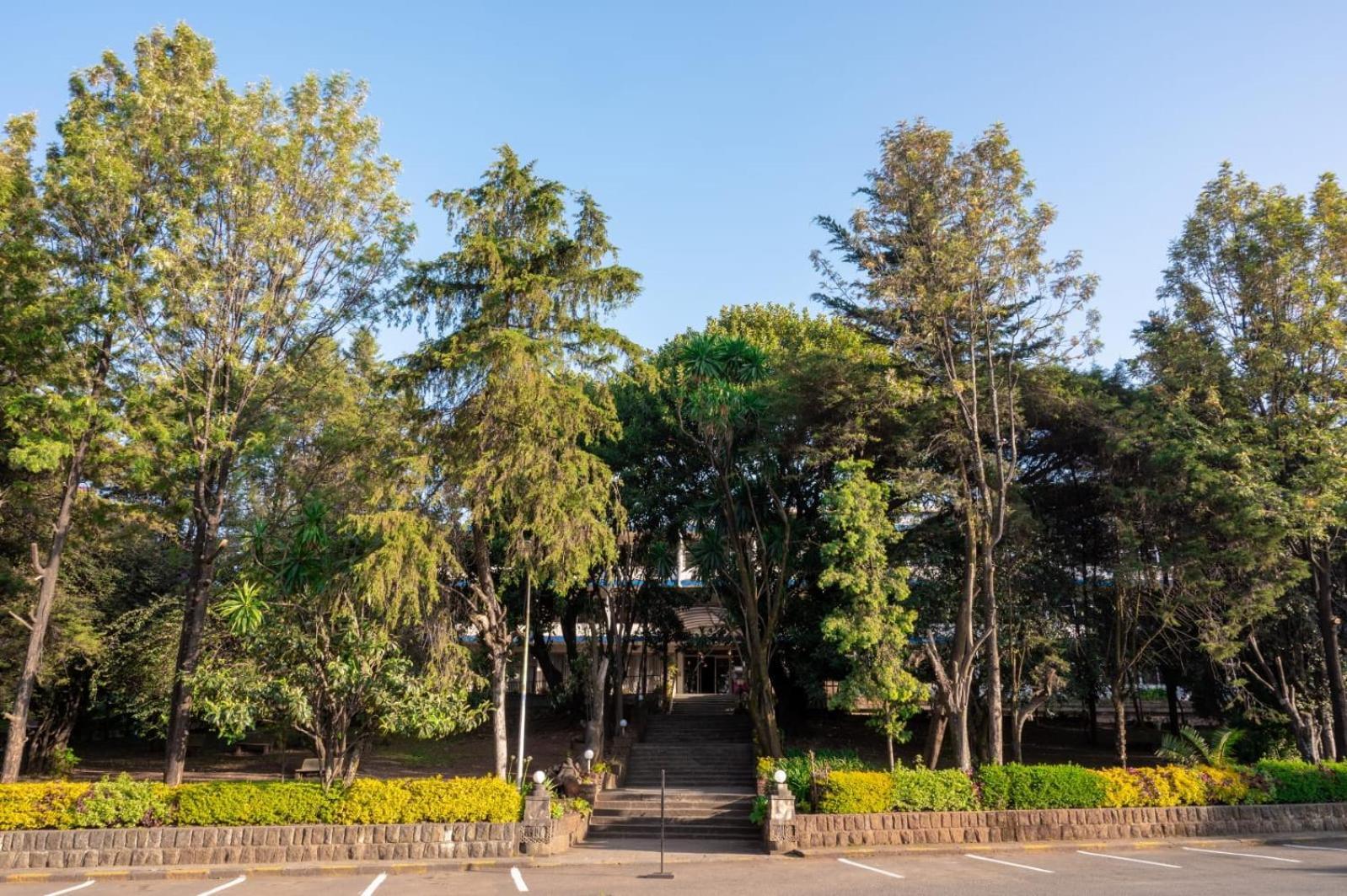 Ghion Hotel Addis Abeba Exteriér fotografie